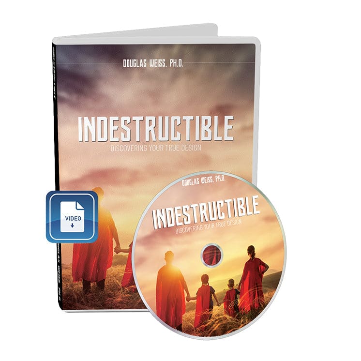 Indestructible: Discovering Your True Design Video Download 